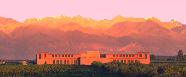 bodega_rutini_importadora_distribuidora_vinos_argentinos_malbec_argentino_españa_europa_restaurantes_argentinos_vinotecas_rincon_gaucho_productos_argentinos