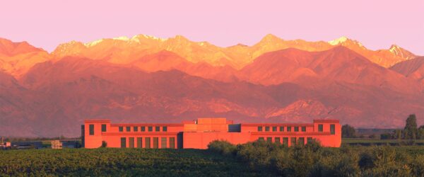 bodega_rutini_importadora_distribuidora_vinos_argentinos_malbec_argentino_españa_europa_restaurantes_argentinos_vinotecas_rincon_gaucho_productos_argentinos