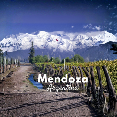vinos_argentinos_bodegas_argentinas_malbec_patagonia_productos_argentinos_restaurantes_parrillas_argentinas_vinotecas_españa_europa