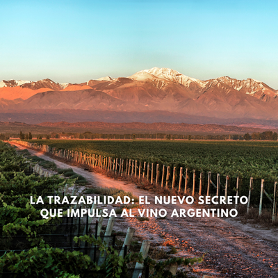vinos_argentinos_bodegas_argentinas_malbec_patagonia_productos_argentinos_restaurantes_parrillas_argentinas_vinotecas_españa_europa