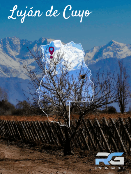 vinos_argentinos_bodegas_argentinas_malbec_patagonia_productos_argentinos_restaurantes_parrillas_argentinas_vinotecas_españa_europa