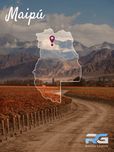 vinos_argentinos_bodegas_argentinas_malbec_patagonia_productos_argentinos_restaurantes_parrillas_argentinas_vinotecas_españa_europa