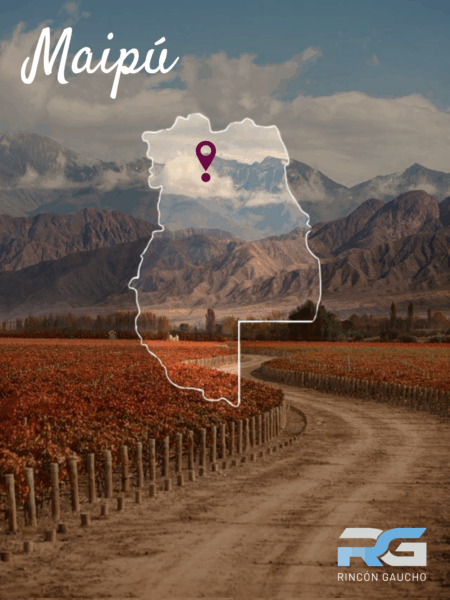 vinos_argentinos_bodegas_argentinas_malbec_patagonia_productos_argentinos_restaurantes_parrillas_argentinas_vinotecas_españa_europa