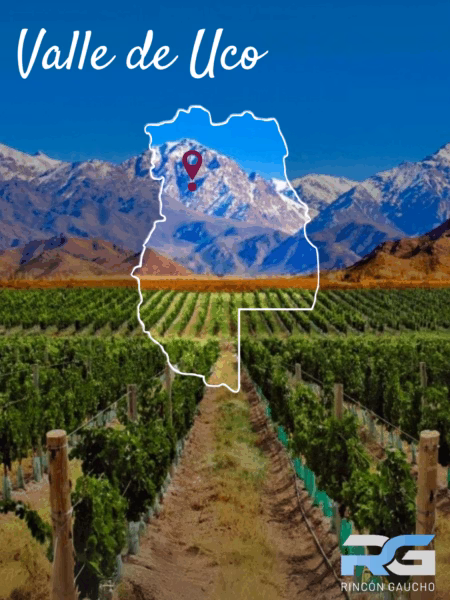 vinos_argentinos_bodegas_argentinas_malbec_patagonia_productos_argentinos_restaurantes_parrillas_argentinas_vinotecas_españa_europa