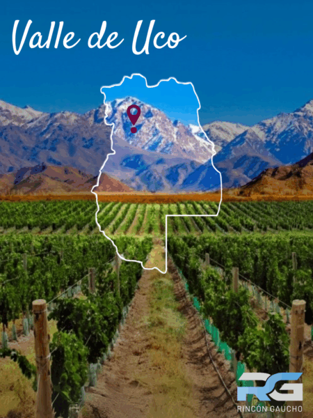 vinos_argentinos_bodegas_argentinas_malbec_patagonia_productos_argentinos_restaurantes_parrillas_argentinas_vinotecas_españa_europa