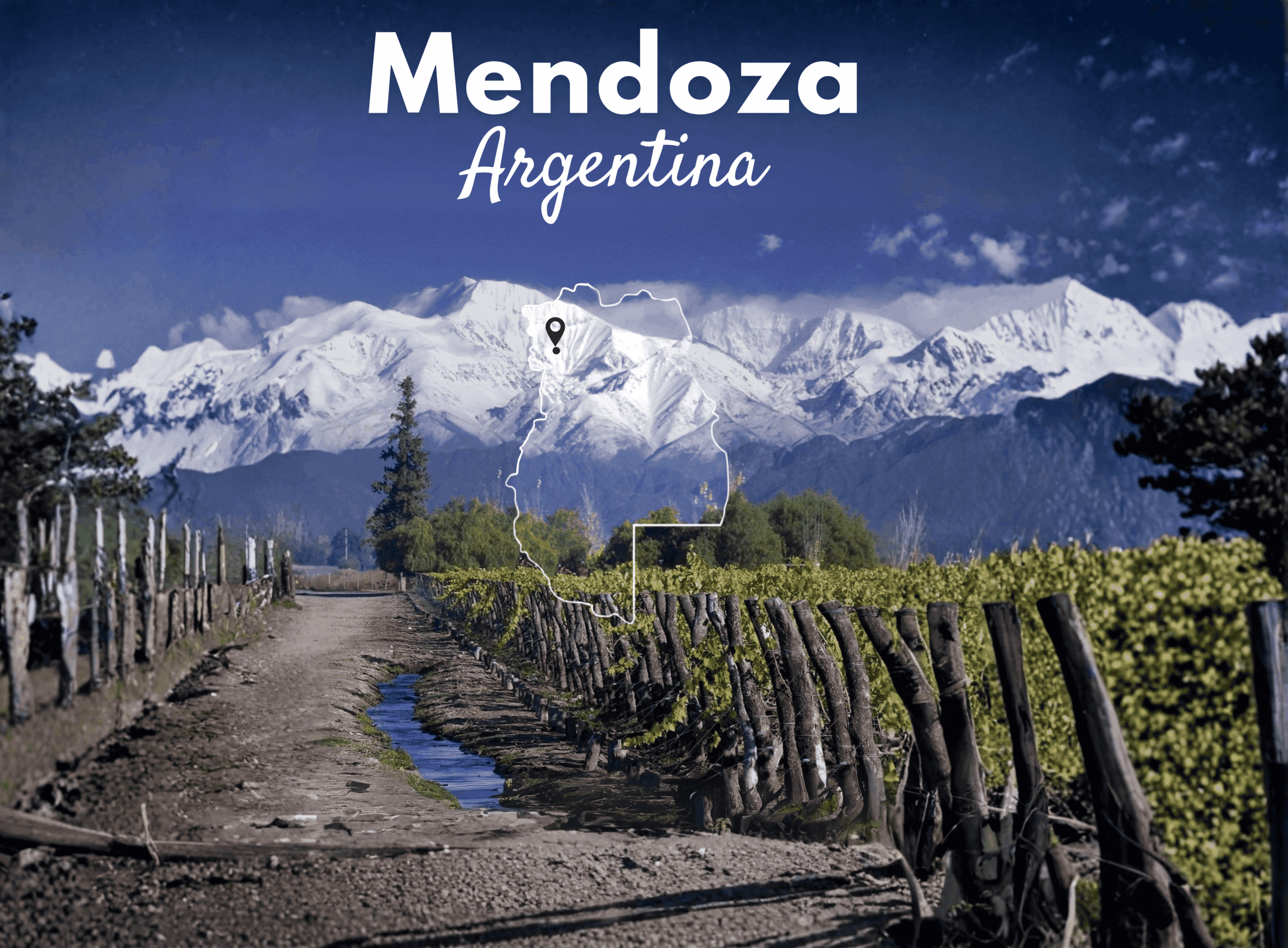 Las regiones que definen la identidad del vino mendocino