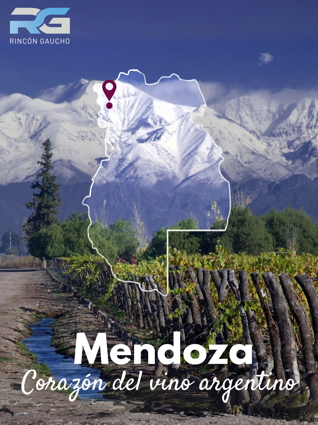 vinos_argentinos_bodegas_argentinas_malbec_patagonia_productos_argentinos_restaurantes_parrillas_argentinas_vinotecas_españa_europa