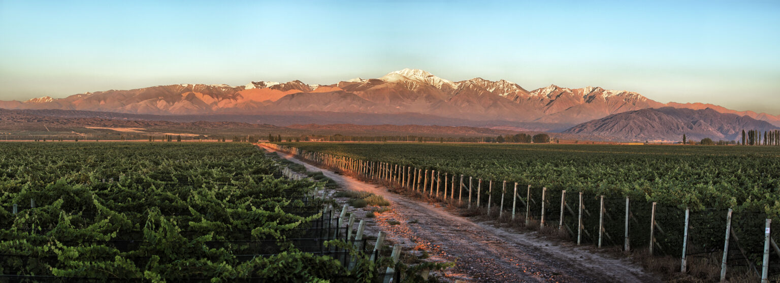 vinos_argentinos_bodegas_argentinas_malbec_patagonia_productos_argentinos_restaurantes_parrillas_argentinas_vinotecas_españa_europa