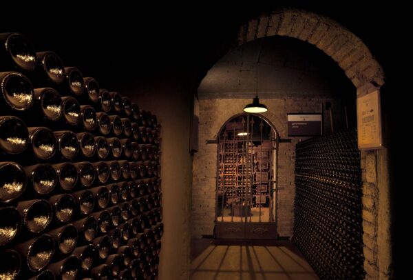 vinos_argentinos_bodegas_argentinas_malbec_patagonia_productos_argentinos_restaurantes_parrillas_argentinas_vinotecas_españa_europa