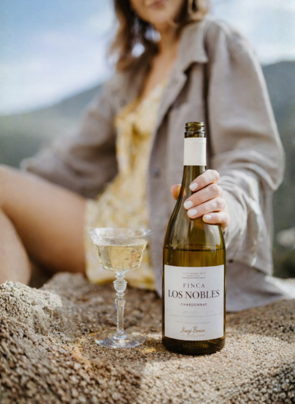 vinos blancos argentinos vinos rosados argentinos maridaje carne argentina vino blanco vino argentino en España carta de vinos restaurante cocina argentina maridaje Rincón Gaucho vinos