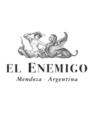 El Enemigo vino argentino Bodega Aleanna El Enemigo Malbec Gran Enemigo Gualtallary vinos Alejandro Vigil vinos argentinos premium